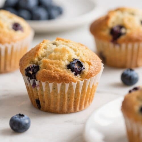 Greatest Blueberry Muffins